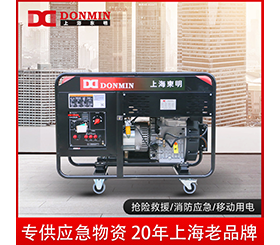 91网站视频在线观看單（dān）三相15kw應急備用便攜（xié）式小型柴油發電機組DMDS18000LE/YJ