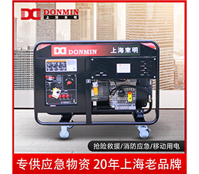 91网站视频在线观看單三相10kw便攜式應急小型柴油發電機組DMDS12000LE/YJ